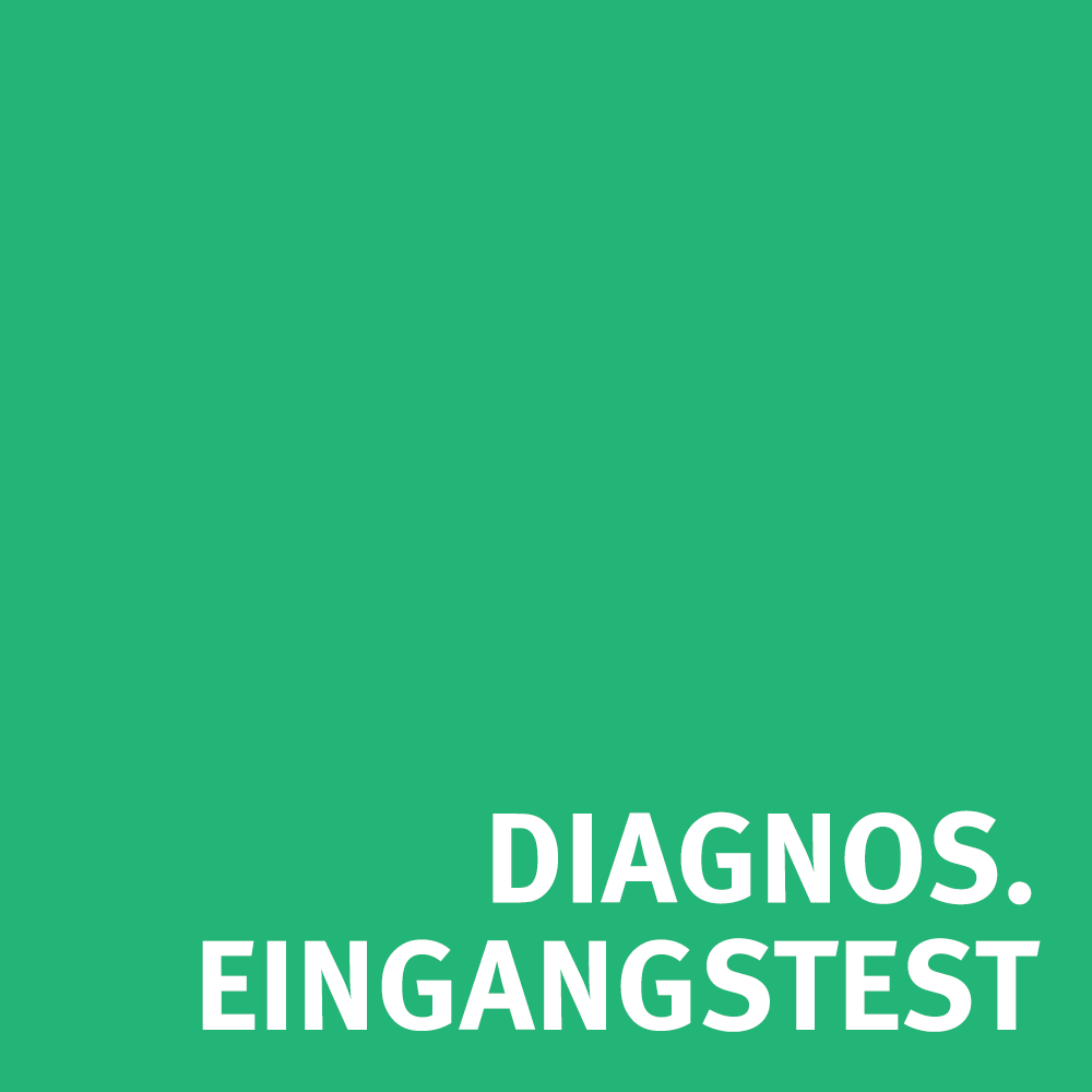 Diagnostischer Eingangstest