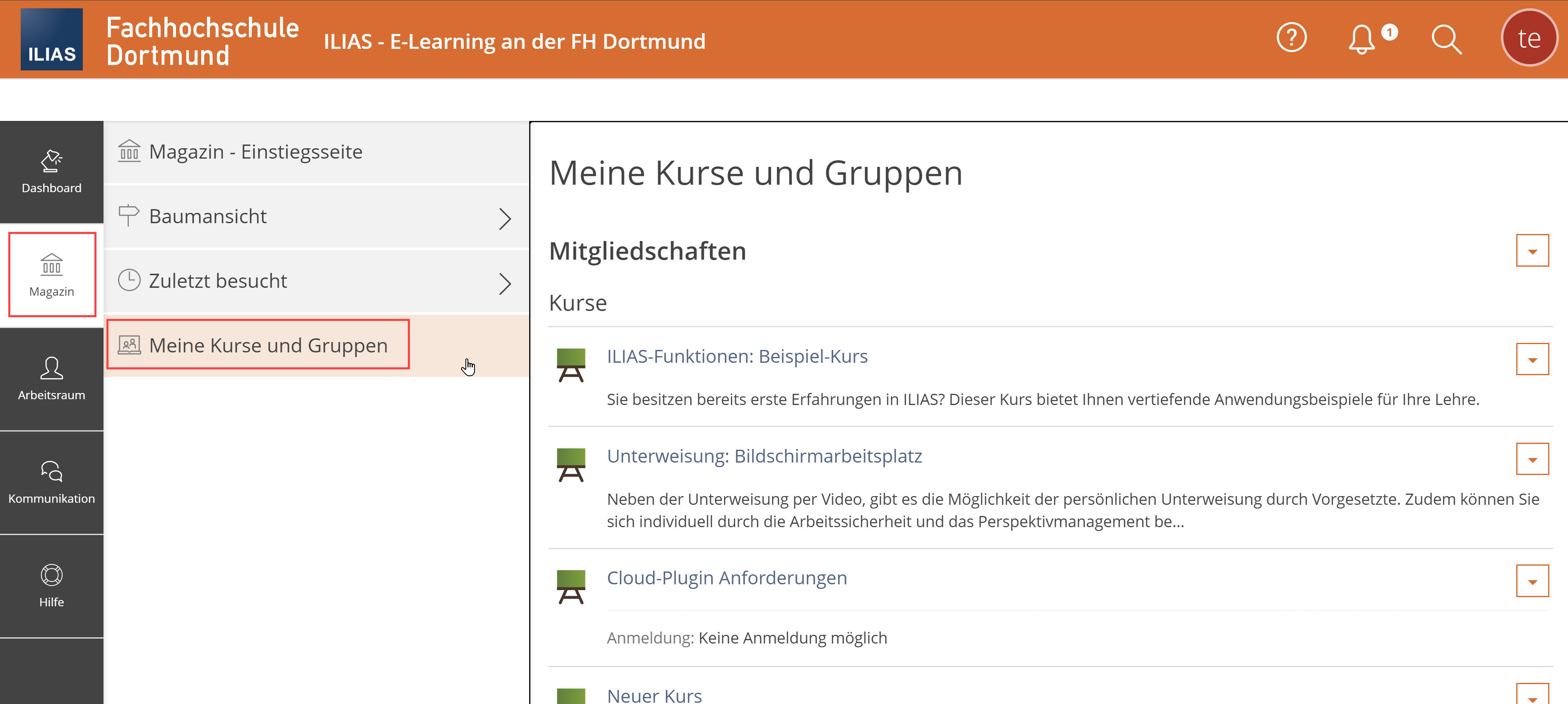 Screenshot, Menüpunkt Magazin geöffnet, Meine Kurse und Gruppen hervorgehoben und werden rechts angezeigt